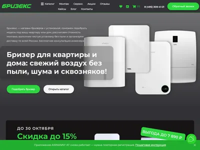 Скриншот сайта бризекс.рф